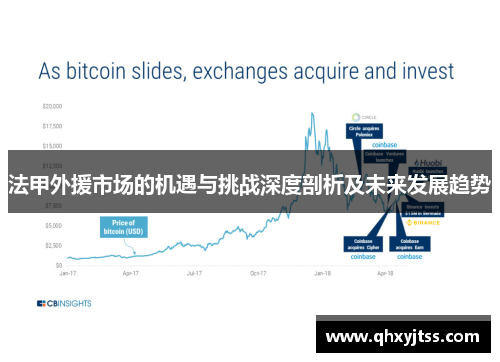 法甲外援市场的机遇与挑战深度剖析及未来发展趋势