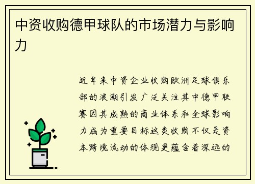 中资收购德甲球队的市场潜力与影响力