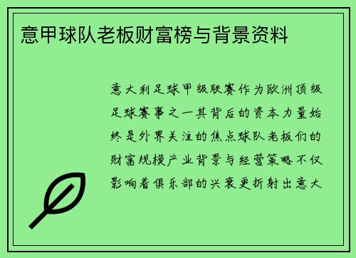 意甲球队老板财富榜与背景资料