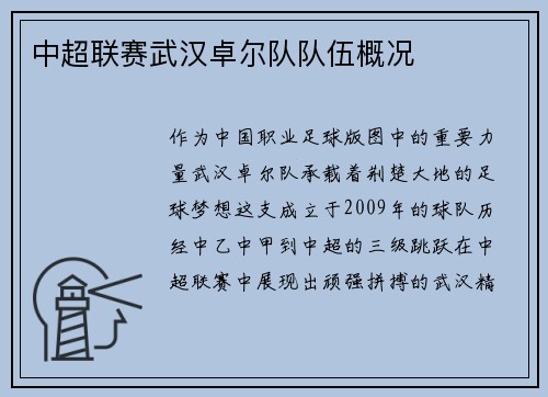中超联赛武汉卓尔队队伍概况